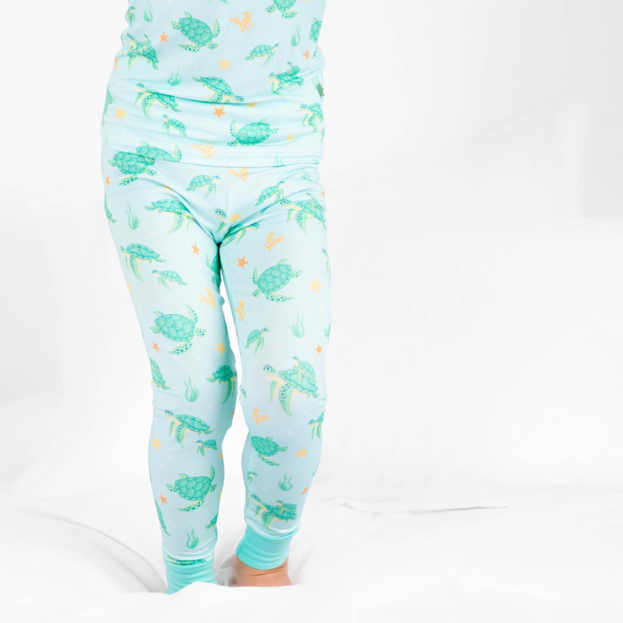 Turtle Two- piece